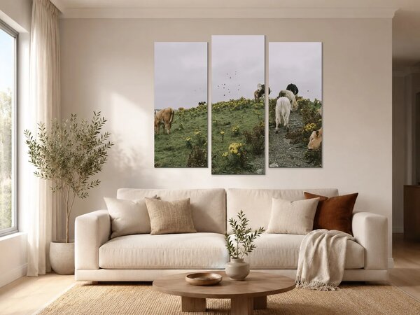 Skot na horské pastvině – Třídílný obraz B, 120 × 100 cm