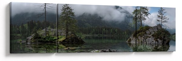 Obraz stromů v jezeře (170x50 cm)