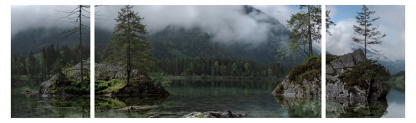 Obraz stromů v jezeře (170x50 cm)