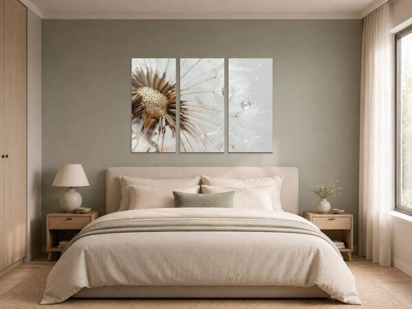 Detail odkvetlé pampelišky s kapkami rosy – Třídílný obraz A, 90 × 60 cm