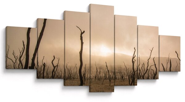 Obraz - Holé stromy (210x100 cm)