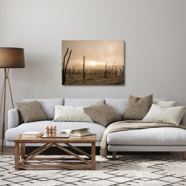 Obraz - Holé stromy (70x50 cm)