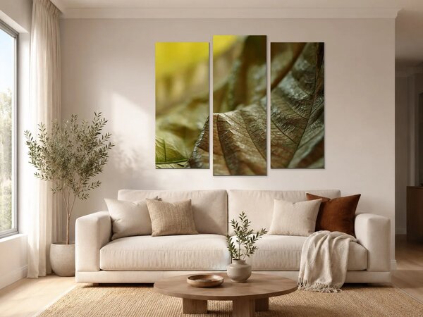 Detail sušených listů v zemitých tónech – Třídílný obraz B, 120 × 100 cm