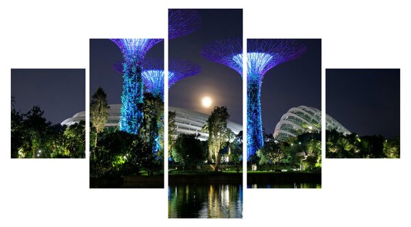 Obraz úplňku v Singapuských zahradách (125x70 cm)