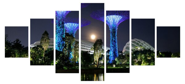 Obraz úplňku v Singapuských zahradách (210x100 cm)