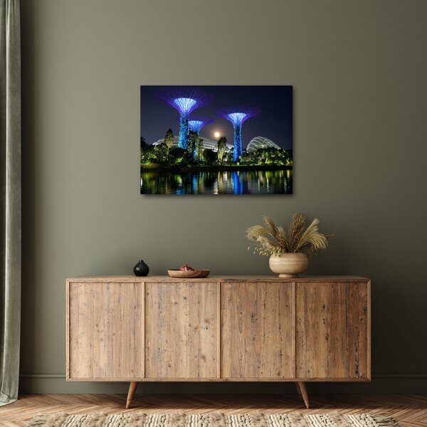 Obraz úplňku v Singapuských zahradách (70x50 cm)