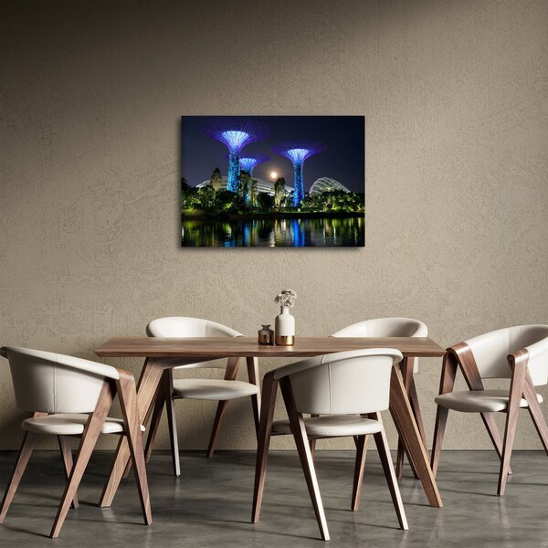Obraz úplňku v Singapuských zahradách (70x50 cm)