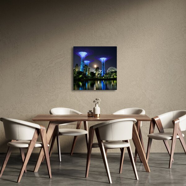 Obraz úplňku v Singapuských zahradách (30x30 cm)