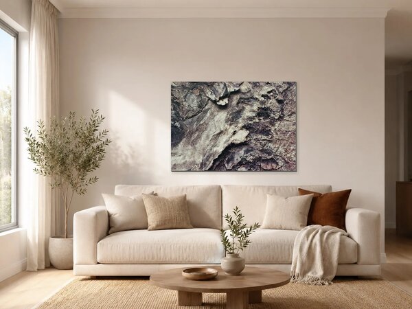 Struktura popraskané kůry – Jednodílný obraz, 70 × 50 cm