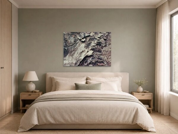 Struktura popraskané kůry – Jednodílný obraz, 70 × 50 cm