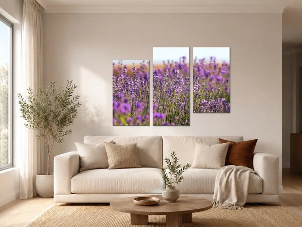 Levandulové pole v letním světle – Třídílný obraz C, 90 × 60 cm
