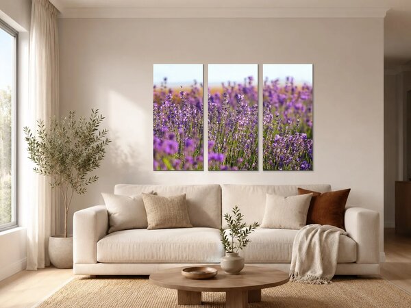 Levandulové pole v letním světle – Třídílný obraz A, 90 × 60 cm