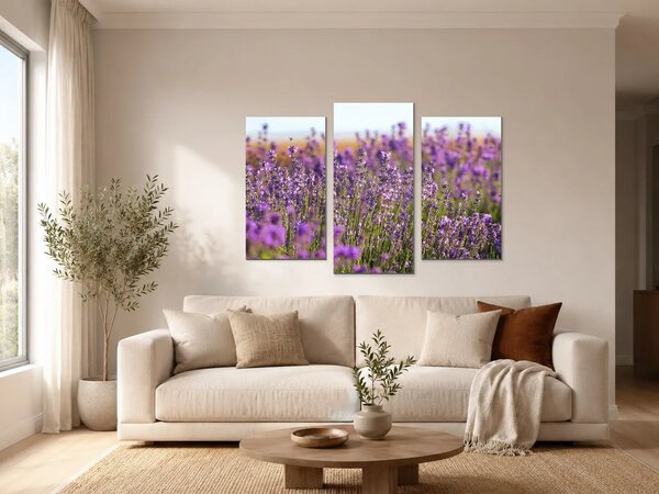 Levandulové pole v letním světle – Třídílný obraz B, 90 × 60 cm