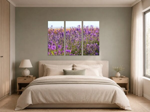 Levandulové pole v letním světle – Třídílný obraz A, 90 × 60 cm