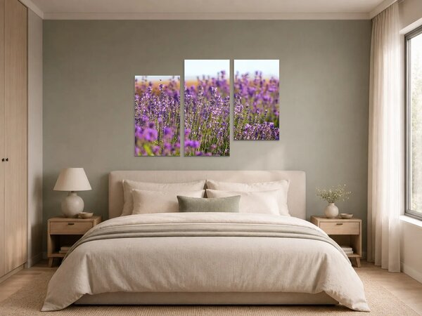 Levandulové pole v letním světle – Třídílný obraz C, 90 × 60 cm