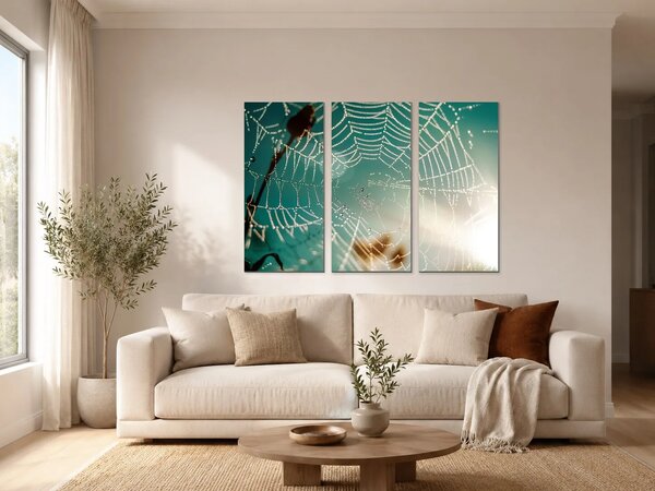 Pavučina v ranní rose – Třídílný obraz A, 90 × 60 cm