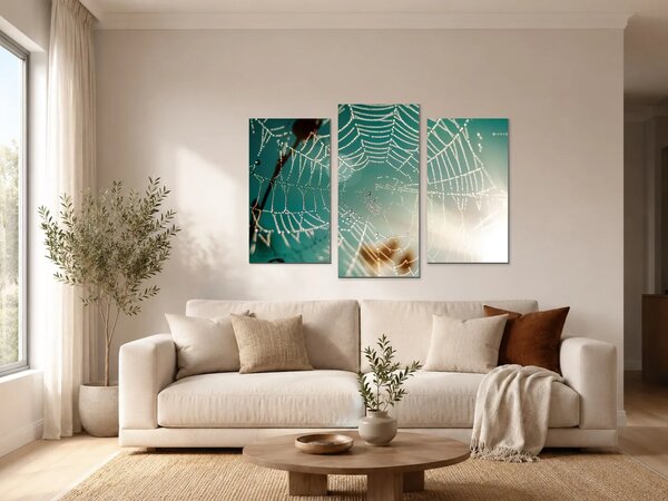 Pavučina v ranní rose – Třídílný obraz B, 90 × 60 cm