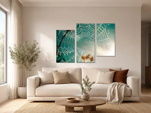 Pavučina v ranní rose – Třídílný obraz C, 90 × 60 cm