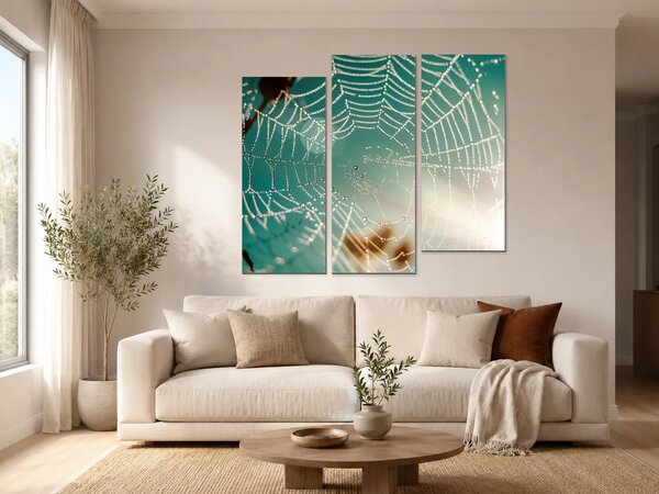 Pavučina v ranní rose – Třídílný obraz C, 150 × 100 cm