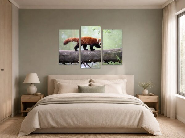 Červená panda na kmeni – Třídílný obraz B, 90 × 60 cm
