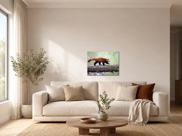 Červená panda na kmeni – Jednodílný obraz, 40 × 30 cm