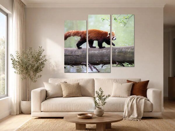 Červená panda na kmeni – Třídílný obraz C, 120 × 100 cm