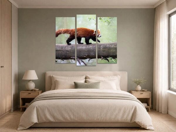 Červená panda na kmeni – Třídílný obraz B, 120 × 100 cm