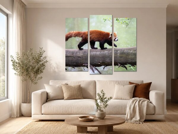 Červená panda na kmeni – Třídílný obraz B, 120 × 100 cm