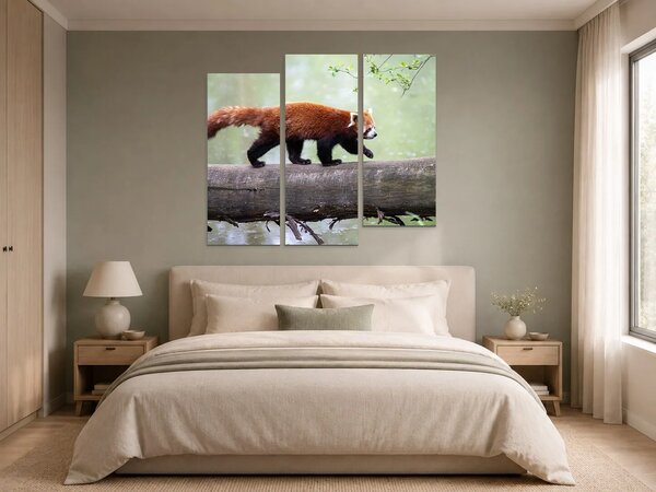 Červená panda na kmeni – Třídílný obraz C, 120 × 100 cm
