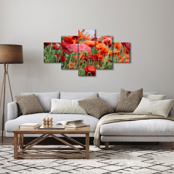 Obraz z pole vlčích máků (125x70 cm)