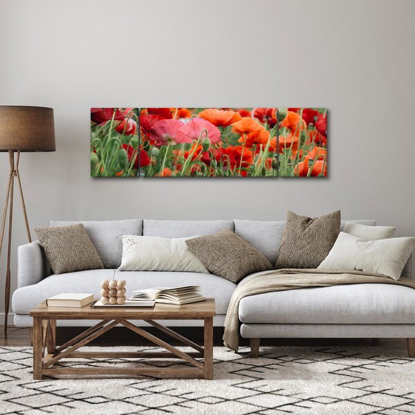 Obraz z pole vlčích máků (170x50 cm)