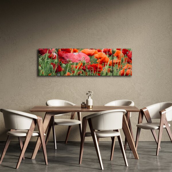 Obraz z pole vlčích máků (170x50 cm)
