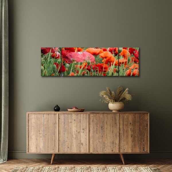 Obraz z pole vlčích máků (170x50 cm)