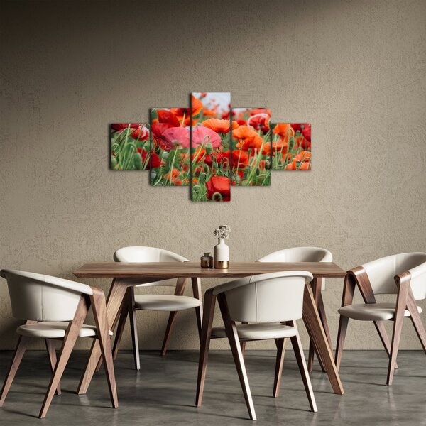 Obraz z pole vlčích máků (125x70 cm)