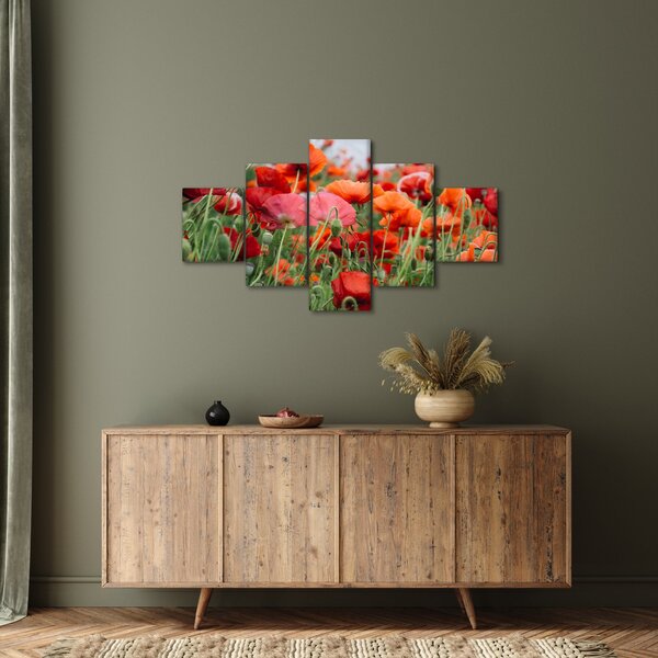 Obraz z pole vlčích máků (125x70 cm)