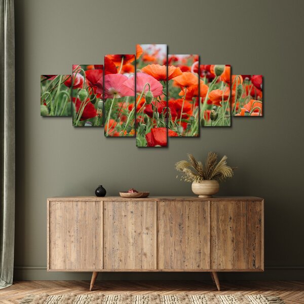 Obraz z pole vlčích máků (210x100 cm)