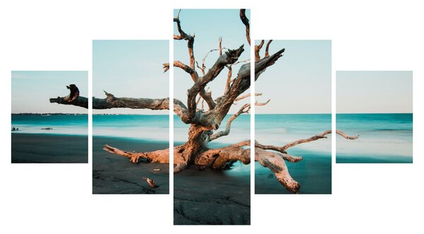 Obraz - Vyplaveno na pláži (125x70 cm)