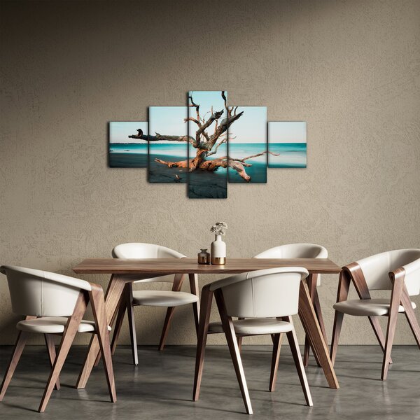 Obraz - Vyplaveno na pláži (125x70 cm)