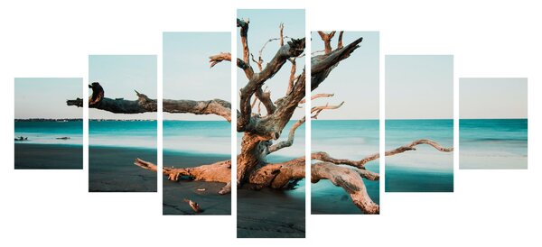 Obraz - Vyplaveno na pláži (210x100 cm)