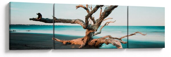 Obraz - Vyplaveno na pláži (170x50 cm)