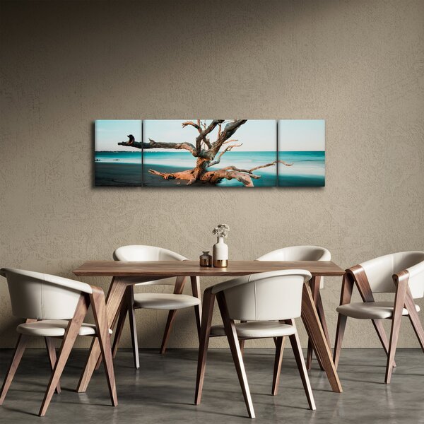Obraz - Vyplaveno na pláži (170x50 cm)