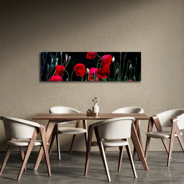 Obraz - Tanec vlčích máků (170x50 cm)