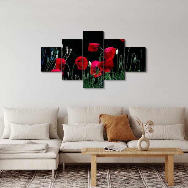 Obraz - Tanec vlčích máků (125x70 cm)