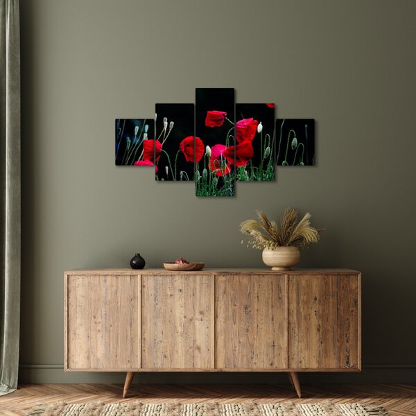 Obraz - Tanec vlčích máků (125x70 cm)