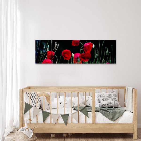 Obraz - Tanec vlčích máků (170x50 cm)