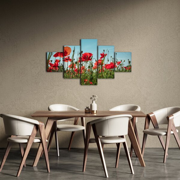 Obraz - Na poli vlčích máků (125x70 cm)