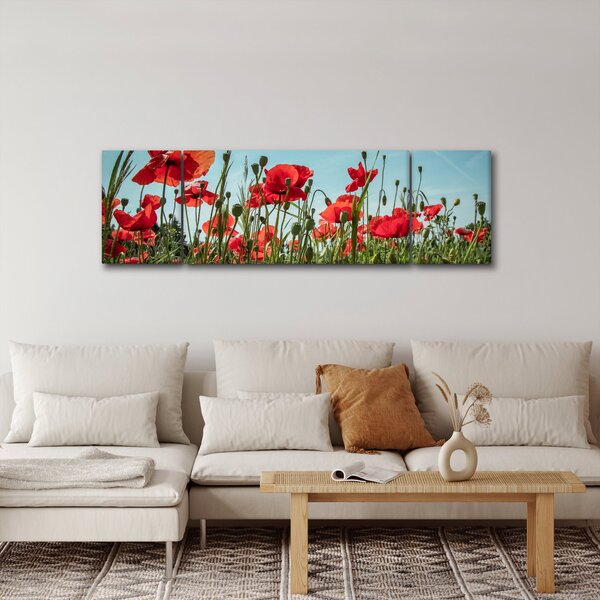 Obraz - Na poli vlčích máků (170x50 cm)