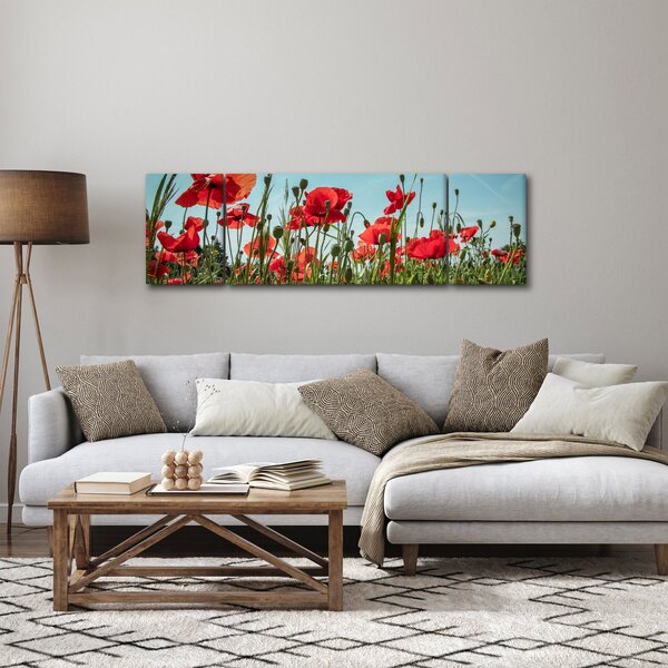 Obraz - Na poli vlčích máků (170x50 cm)