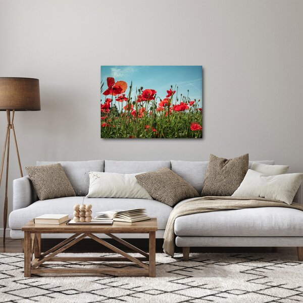 Obraz - Na poli vlčích máků (70x50 cm)