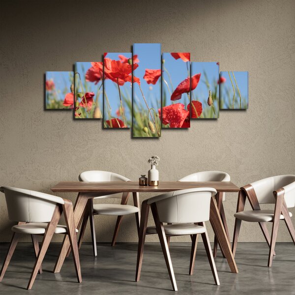 Obraz - Vlčí máky (210x100 cm)